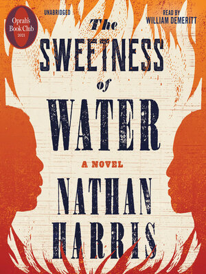cover image of The Sweetness of Water
